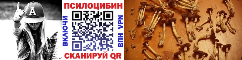 Галлюциногенные грибы мицелий  kraken маркетплейс  Заволжск 